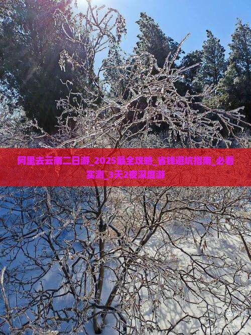 阿里去云南二日游 阿里去云南二日游