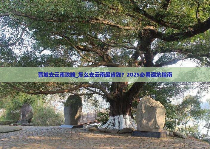 晋城去云南攻略