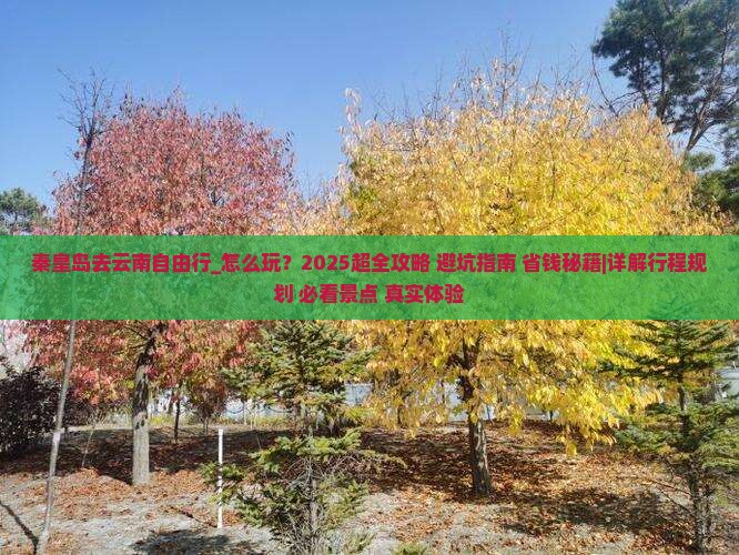 秦皇岛去云南自由行