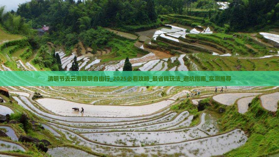 清明节去云南昆明自由行 清明节去云南昆明自由行