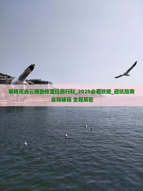 攀枝花去云南香格里拉旅行社
