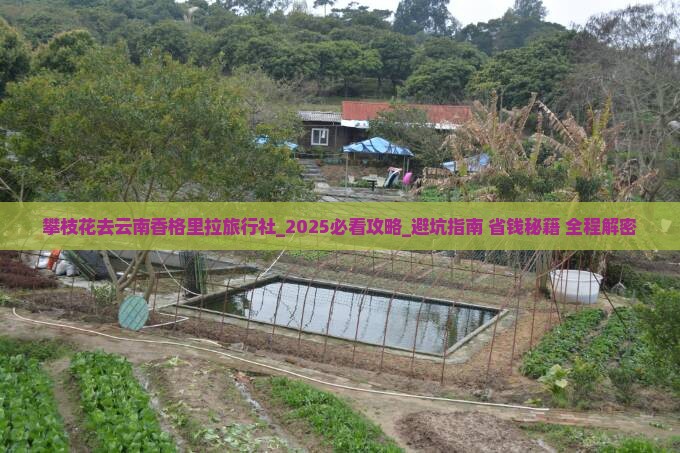 攀枝花去云南香格里拉旅行社