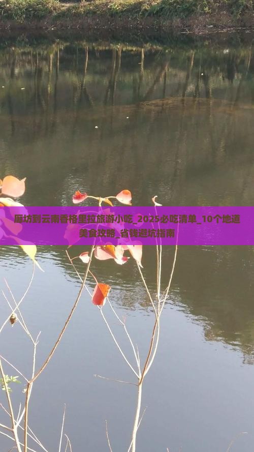 廊坊到云南香格里拉旅游小吃
