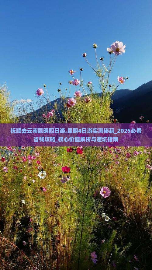 抚顺去云南昆明四日游 抚顺去云南昆明四日游