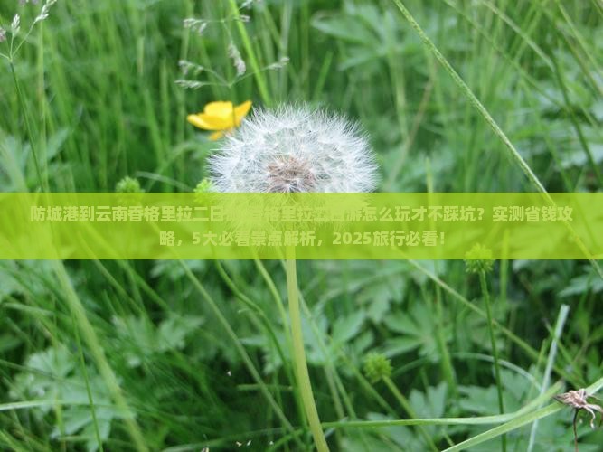 防城港到云南香格里拉二日游