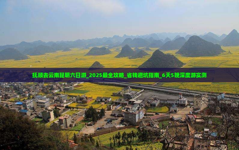 抚顺去云南昆明六日游