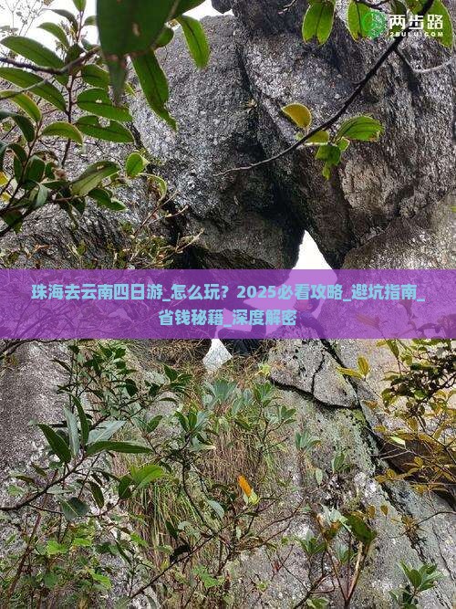 珠海去云南四日游