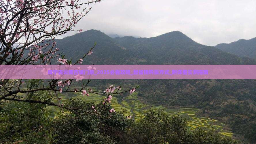 咸宁去云南古城门票 咸宁去云南古城门票