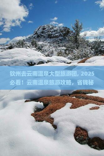 钦州去云南温泉大型旅游团