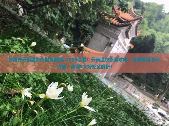 钦州去云南温泉大型旅游团