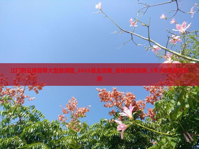 江门到云南昆明大型旅游团