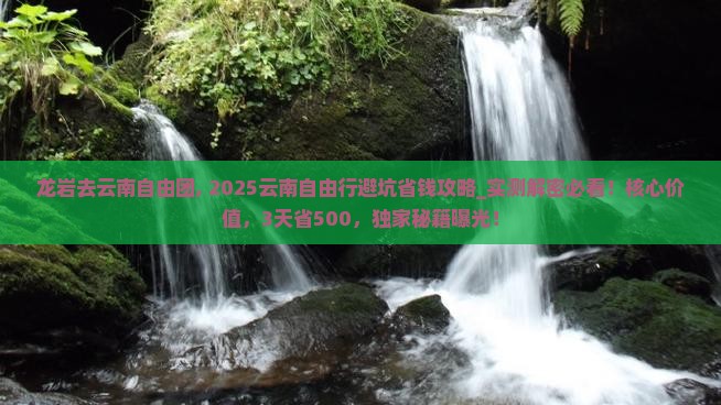 龙岩去云南自由团