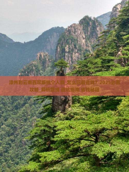漳州到云南西双版纳个人游