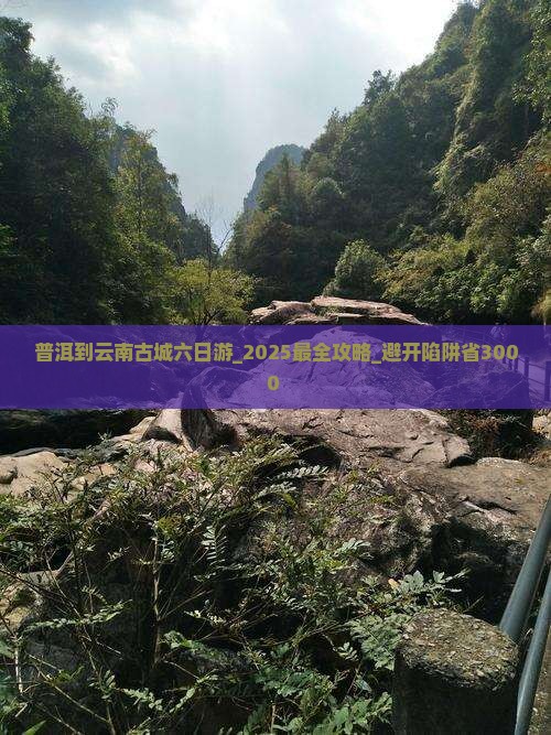 普洱到云南古城六日游