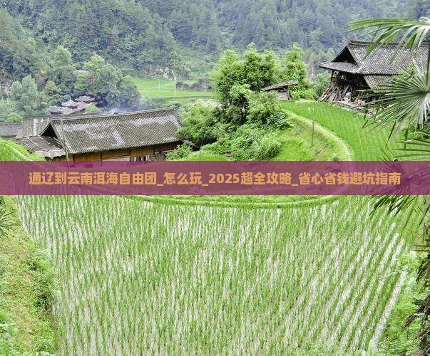 通辽到云南洱海自由团