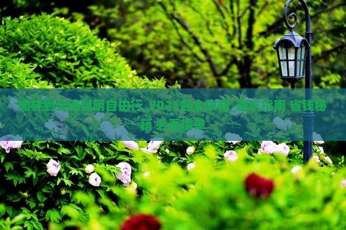 榆林到云南昆明自由行
