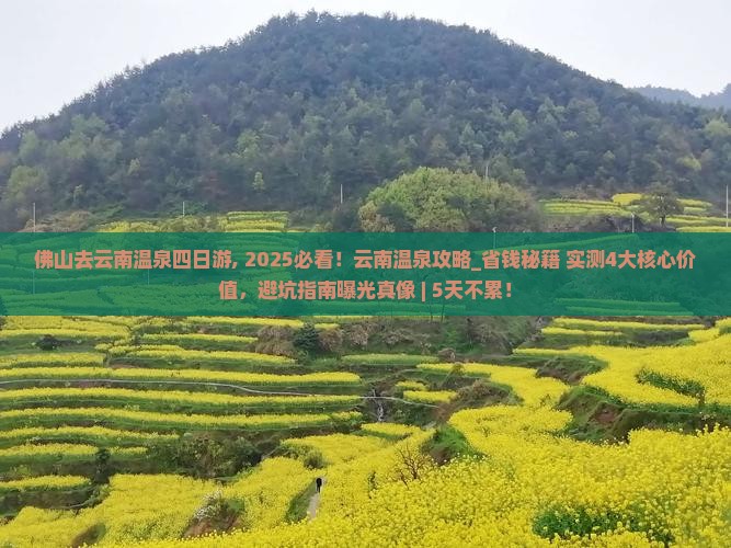 佛山去云南温泉四日游