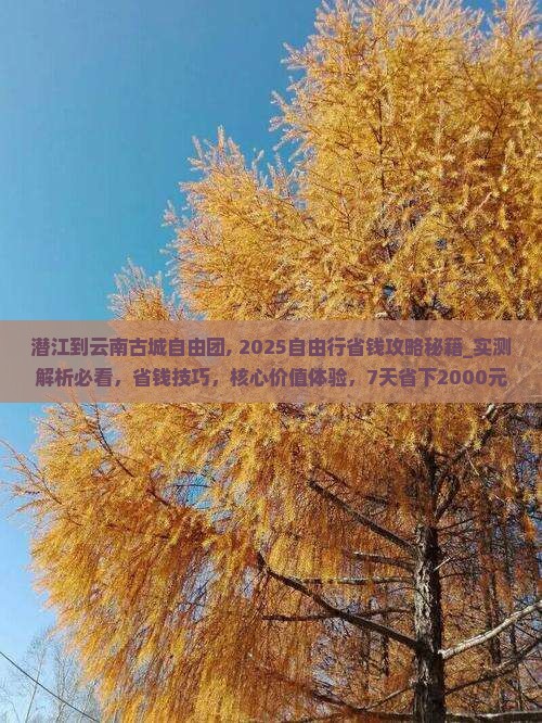 潜江到云南古城自由团