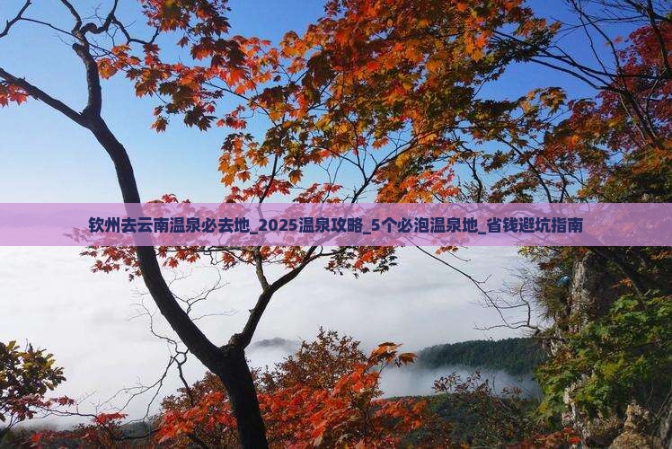 钦州去云南温泉必去地