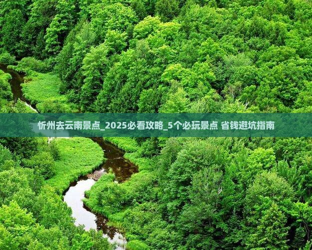 忻州去云南景点