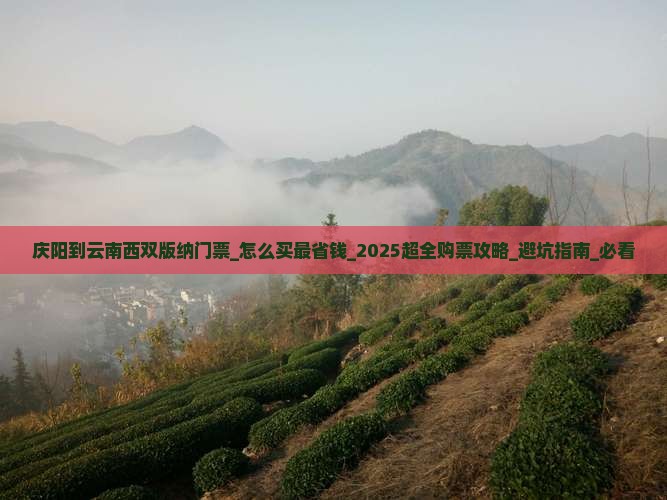 庆阳到云南西双版纳门票