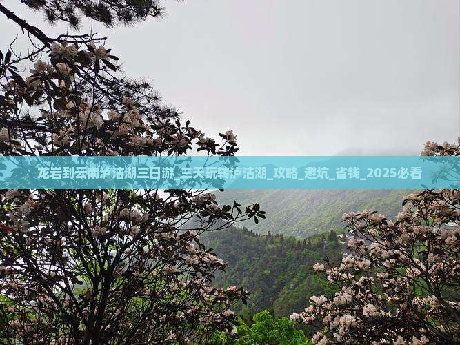 龙岩到云南泸沽湖三日游