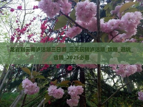 龙岩到云南泸沽湖三日游
