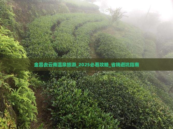 金昌去云南温泉旅游