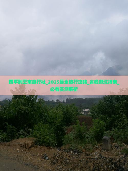 四平到云南旅行社