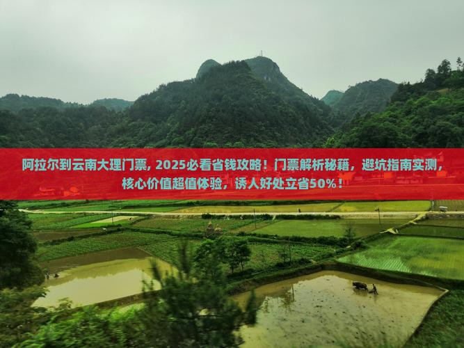 阿拉尔到云南大理门票