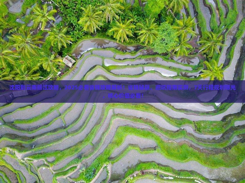沈阳到云南丽江攻略 沈阳到云南丽江攻略