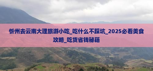 忻州去云南大理旅游小吃 忻州去云南大理旅游小吃
