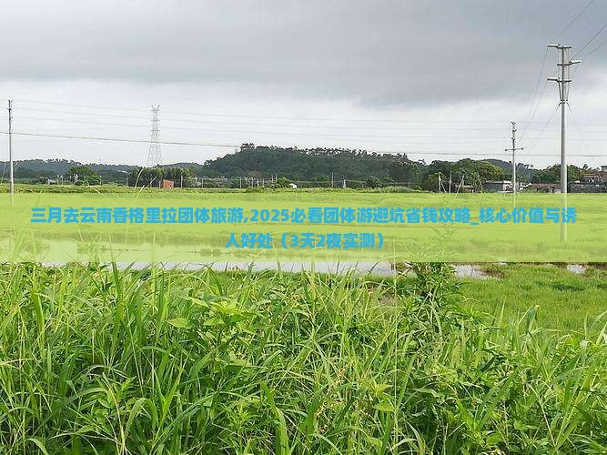 三月去云南香格里拉团体旅游