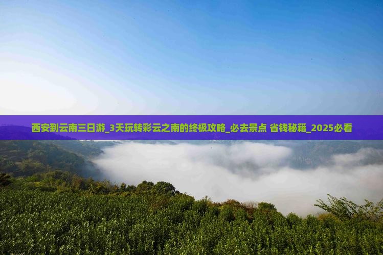 西安到云南三日游