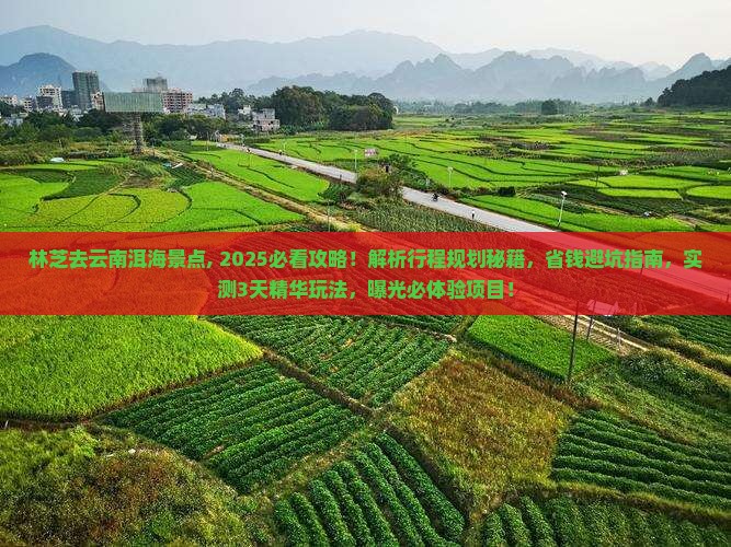 林芝去云南洱海景点