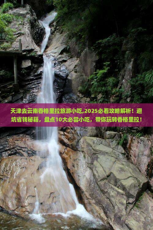 天津去云南香格里拉旅游小吃