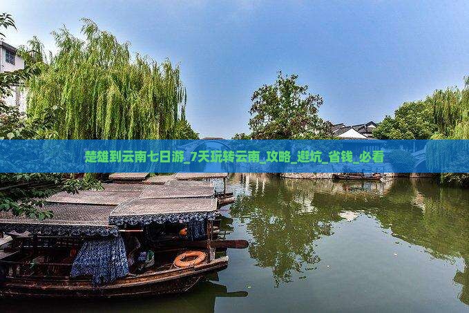 楚雄到云南七日游