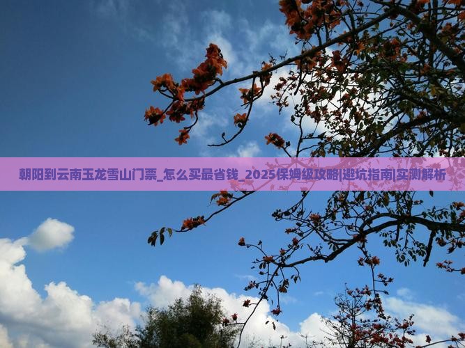 朝阳到云南玉龙雪山门票