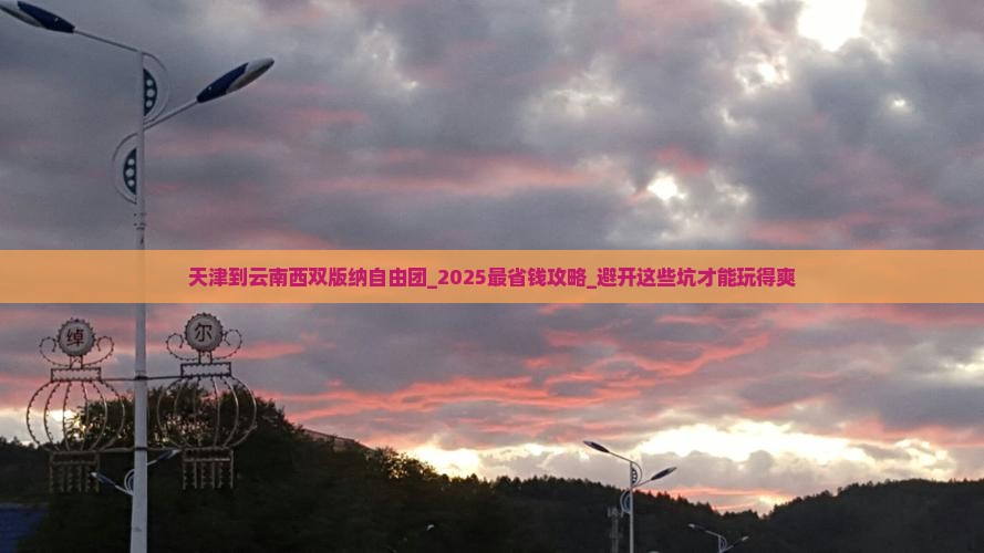 天津到云南西双版纳自由团