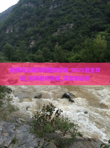 固原到云南昆明团体旅游