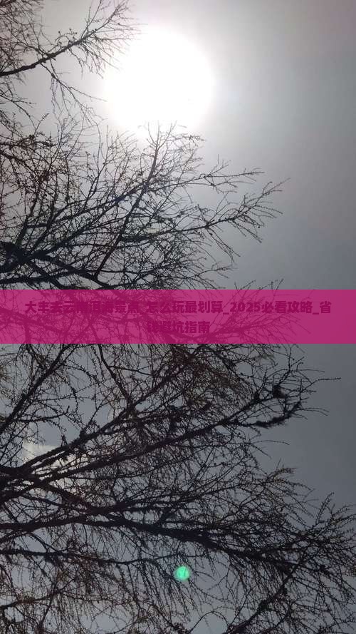 大丰去云南洱海景点