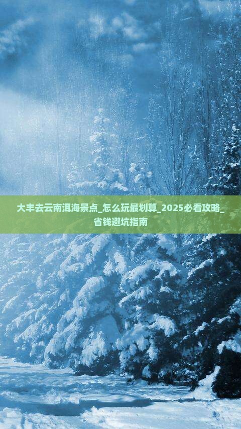 大丰去云南洱海景点